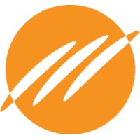 Liontech logo - Similar company to Liontech