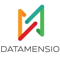 Datamensio logo - Similar company to Dot Zero