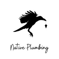 Native Plumbing USA logo - Similar company to American Society Of Plumbing Engineers - Toronto Chapter