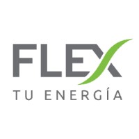 Flex Energy logo - Similar company to E Shaw Consultancy