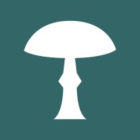 Stereum Services FlexCo logo - Similar company to Reqmasters Gmbh