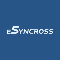 eSyncross logo - Similar company to Capstone Mena