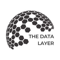 The Data Layer logo - Similar company to Flow8