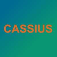 Cassius logo - Similar company to Burcan
