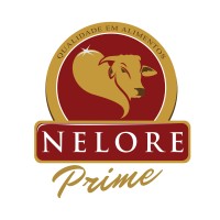 Nelore Prime logo - Similar company to Vc Telecom Brasil