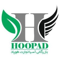 Hoopad Trade Co. logo - Similar company to Teamapp - تیماپ