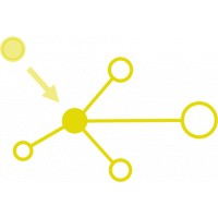 BonaPlanta logo - Similar company to Chalante