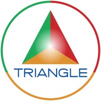 Triangle Services Ltd logo - Similar company to Carnival Internet