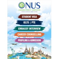 Onus Consultancy  Services logo - Similar company to Onus