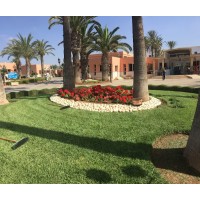 Hôpital Militaire d'Agadir - Inzegane logo - Similar company to Cgpdm Formation