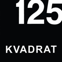 125 Kvadrat logo - Similar company to A.P. Shaps