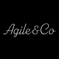 Agile & Co. logo - Similar company to Light Of Chance, Inc.