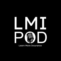 LMI POD logo - Similar company to Stylyr