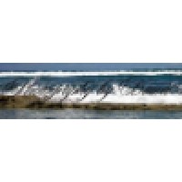 Photography-by-Dawn logo - Similar company to Uncool Artist