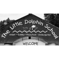 The Little Dolphin School Foundation