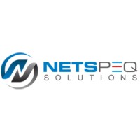 Netspeq Solutions logo - Similar company to Waglogy