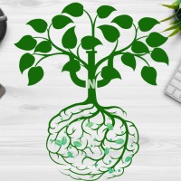 Insight Network logo - Similar company to Insight Network