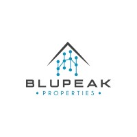 BluPeak Estate Analytics logo - Similar company to Interten