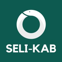 Seli-Kab logo - Similar company to Tecno System Group