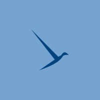 Blitz TI logo - Similar company to Blitz-It