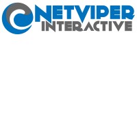 NetViper Interactive Inc logo - Similar company to Digitiz.Sme