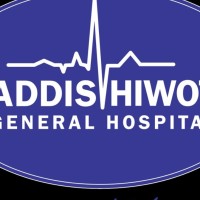 Addis Hiwot General Hospital logo - Similar company to Excel Consultrade Plc