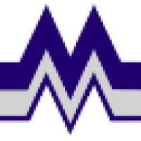 M.L.INTERNATIONAL Ltd. logo - Similar company to Strela Interim Cfo Ltd