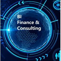 BI Finance and Consulting logo - Similar company to Finance Monthly