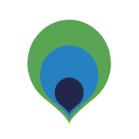 PAV Strategic, Inc. logo - Similar company to Maximum Security Usa