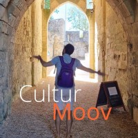 CulturMoov logo - Similar company to Izzi By Toolib