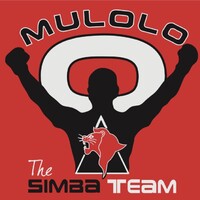 The Simba Team - Sports & Fitness Coaching logo - Similar company to Synergies Vector