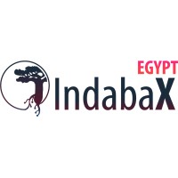 IndabaXEgypt logo - Similar company to Aigorithm