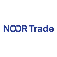 Noor Trade logo - Similar company to Techteam360 Llc