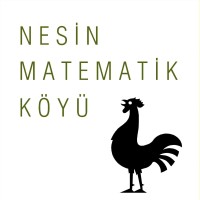 Nesin Matematik Köyü logo - Similar company to Directed Reading Program (Drp) Türkiye