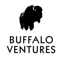 Buffalo Ventures logo - Similar company to Hunter Sf