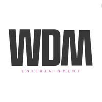 WDM Entertainment Ltd logo - Similar company to Sportsync