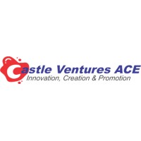 CastleVenturesAce logo - Similar company to Design 360 Interio