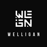 Welligan logo - Similar company to Wallmer