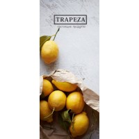 TRAPEZA logo - Similar company to Robolabs