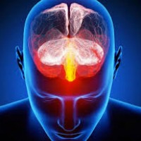 Intellectus Solutions Llc (Formerly Ephpmp.Net)