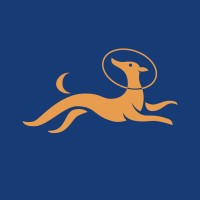 Whippet Digital logo - Similar company to Web Paste