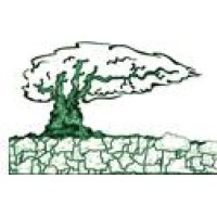 Stonewood Construction Inc logo - Similar company to Kaminski Construction Llc