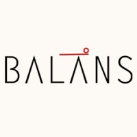The Balans Group logo - Similar company to Æolus Digital