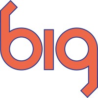 Building Infrastructure Group, Inc. logo - Similar company to Linx Llc