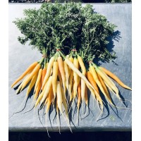 River Ridge Farm & Market