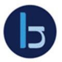 Blake Newport logo - Similar company to Project Planning Ltd