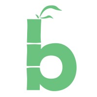 Bamboo Digital logo - Similar company to Bamboo Digital
