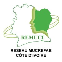 REMUCI logo - Similar company to Sapmap2024