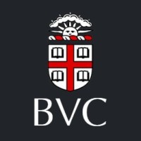 Brown Visual Computing logo - Similar company to Acm Multimedia