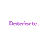 Dataforte.io logo - Similar company to Workonnect Africa